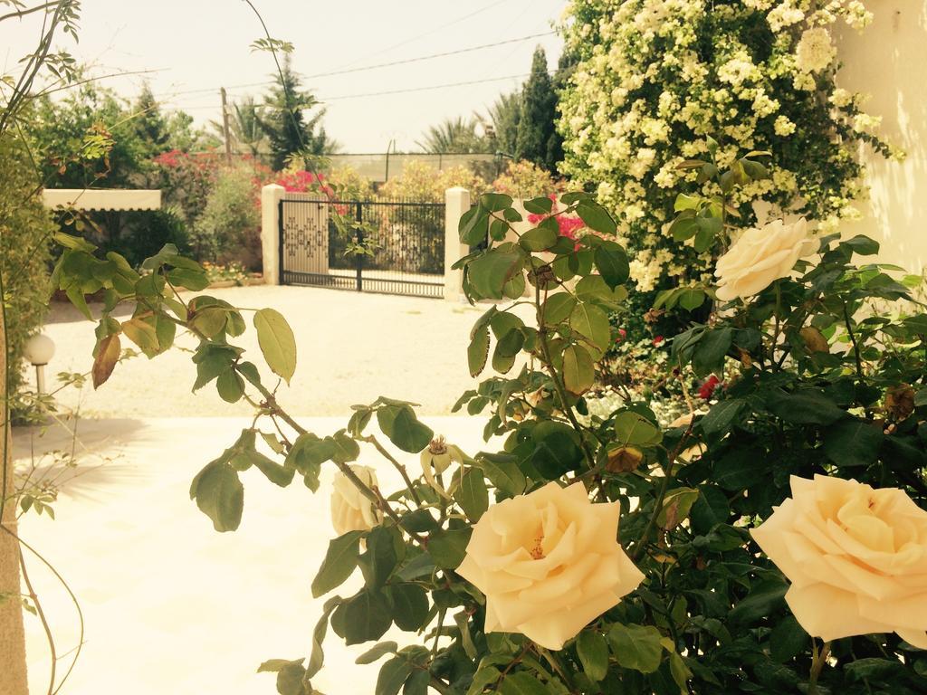 Dar Khereddine Tunis Luaran gambar